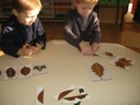 Puzzle Feuilles Symetrie (1).JPG