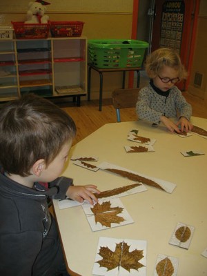 Puzzle Feuilles Symetrie (10).JPG