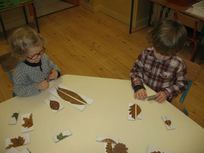 Puzzle Feuilles Symetrie (11).JPG