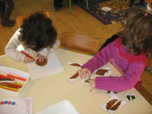 Puzzle Feuilles Symetrie (5).JPG