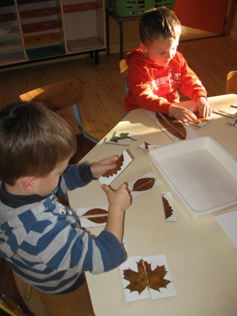 Puzzle Feuilles Symetrie (6).JPG