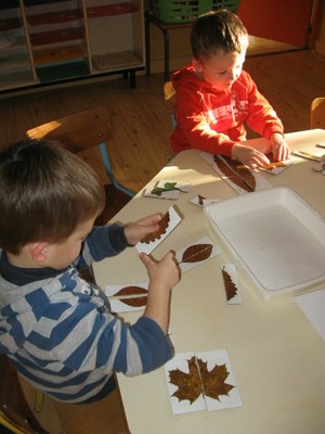 Puzzle Feuilles Symetrie (6).JPG