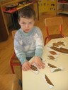Puzzle Feuilles Symetrie (7).JPG