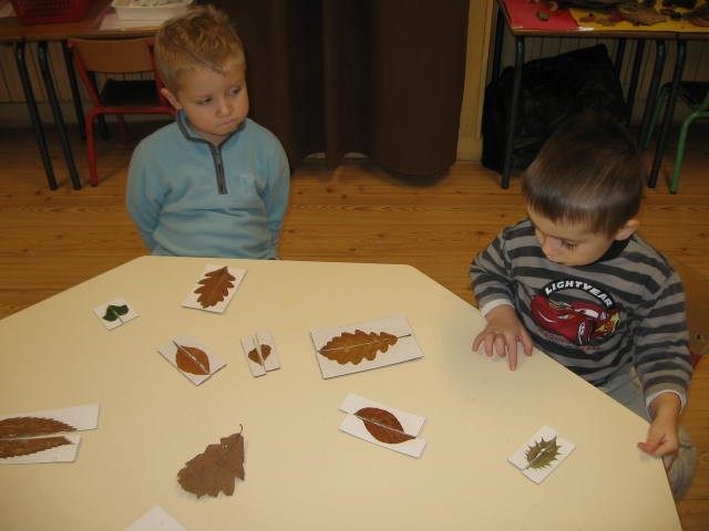 Puzzle Feuilles Symetrie (9).JPG