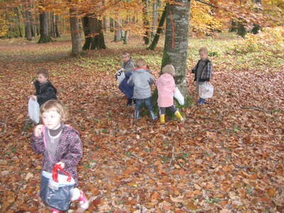 foret (1).JPG