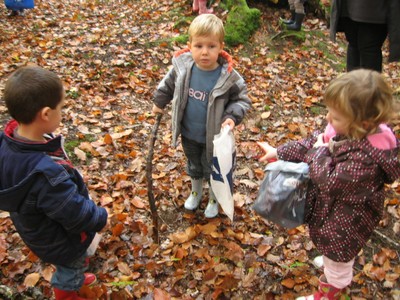 foret (10).JPG