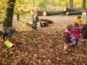 foret (8).JPG