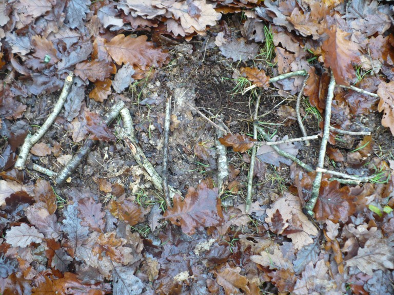 P1020175.JPG