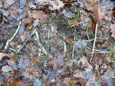 P1020175.JPG