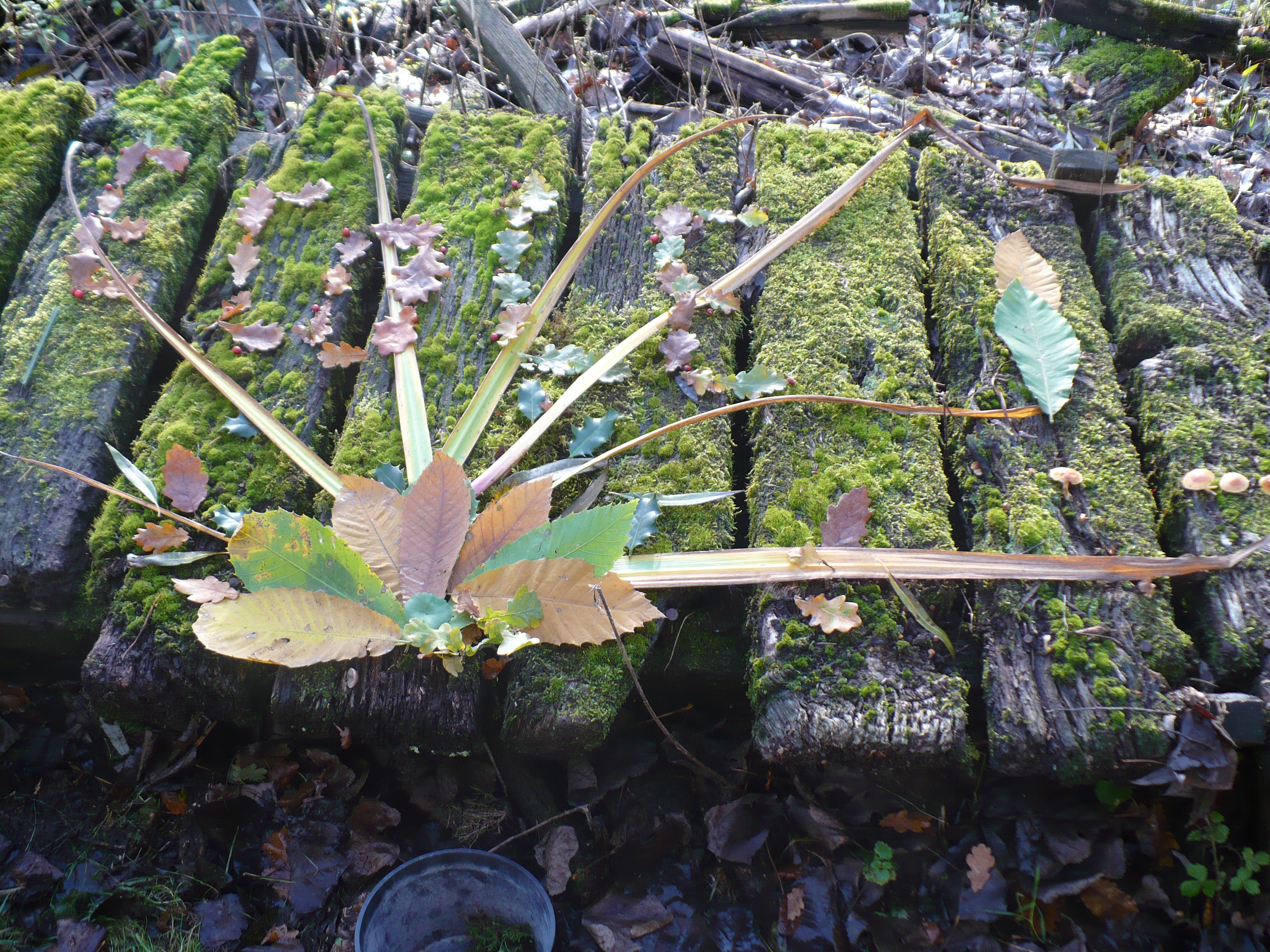 P1020216.JPG