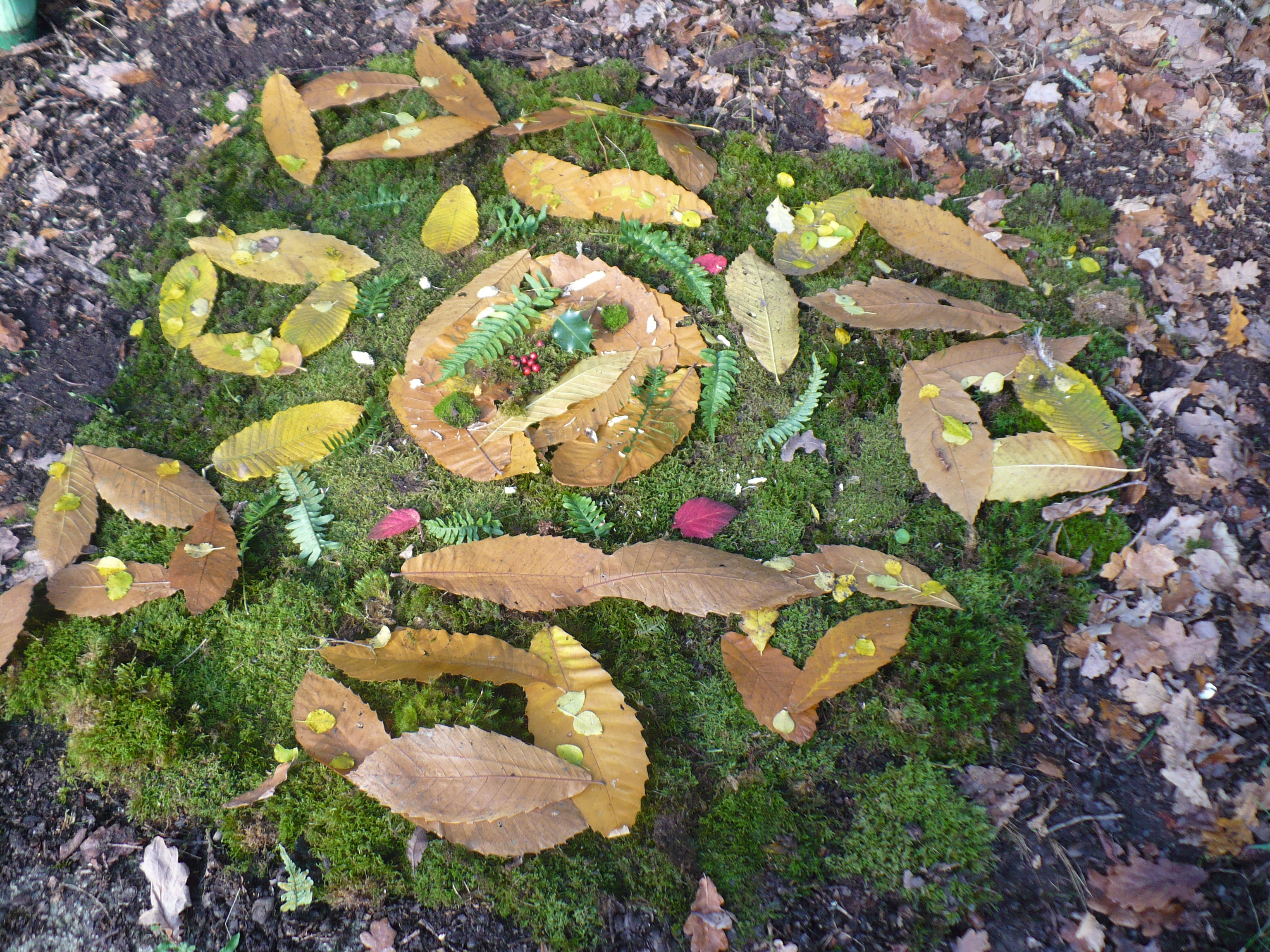 P1020222.JPG