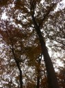 IMG_0461.jpg