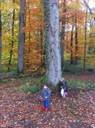 IMG_0463.jpg