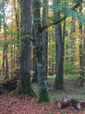 IMG_0475.jpg