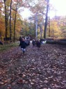 IMG_0502.jpg