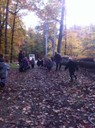 IMG_0506.jpg
