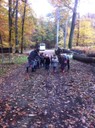 IMG_0517.jpg