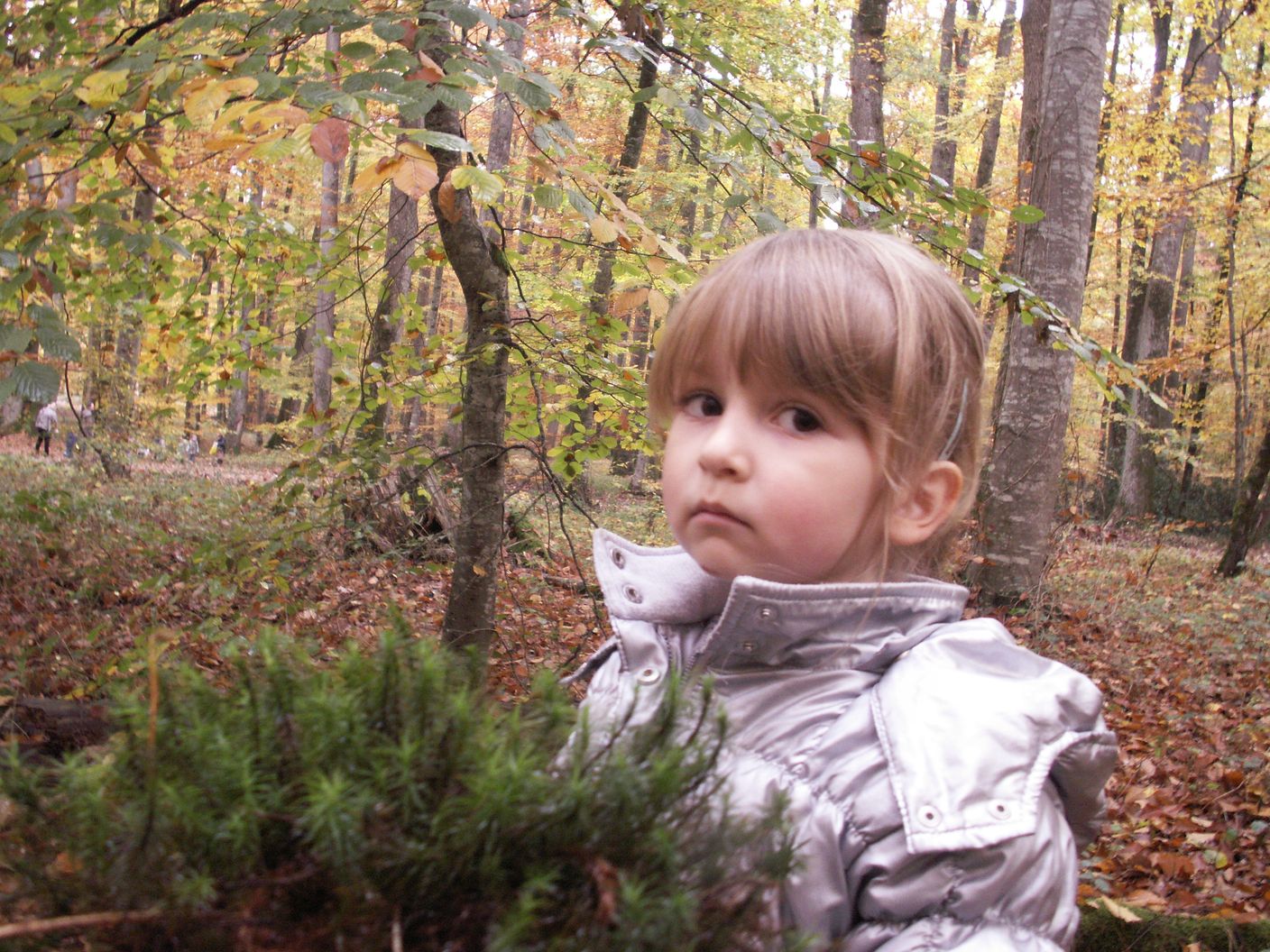 siege et site communicant 082.jpg