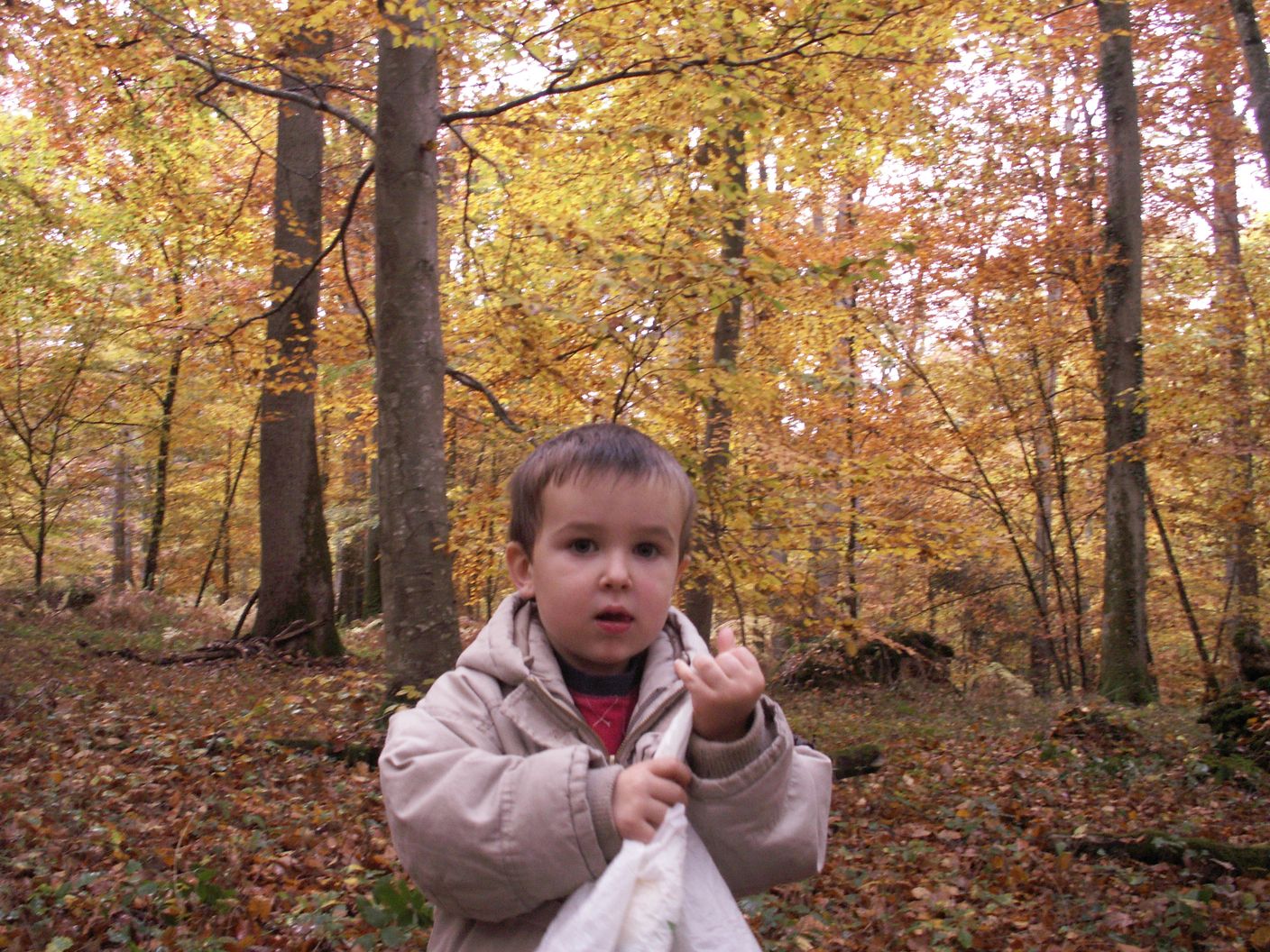 siege et site communicant 086.jpg