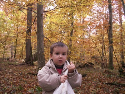 siege et site communicant 086.jpg