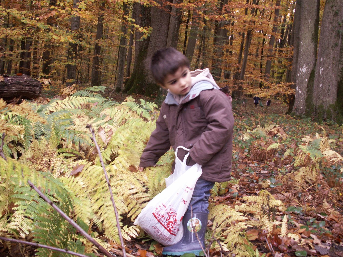 siege et site communicant 091.jpg