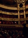 P1040503.JPG