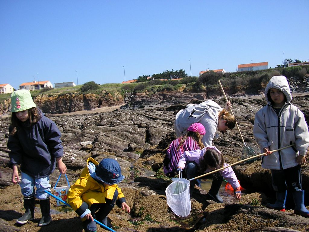 Photo41