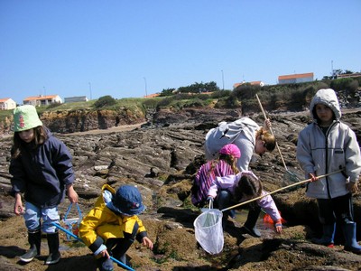 Photo41