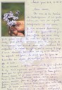 Message de Soeur Lucile