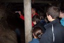 100_4451.JPG
