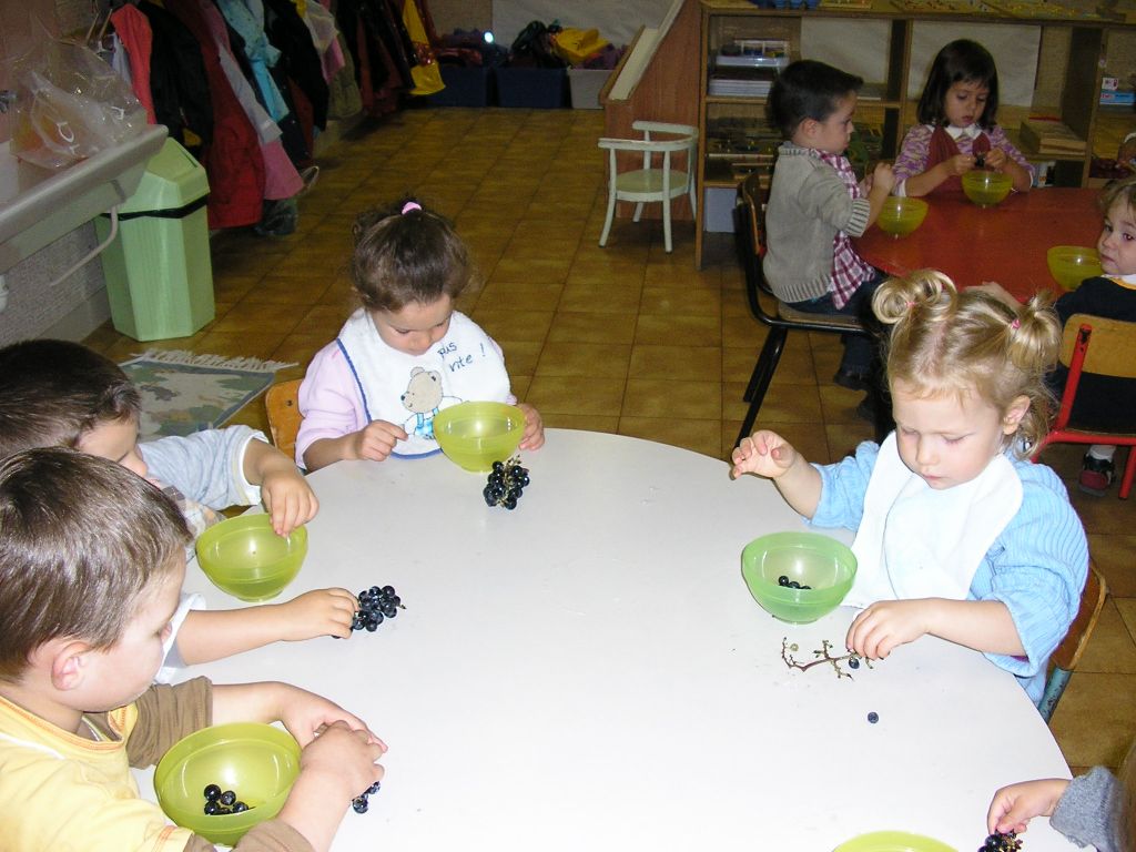 P1010074.JPG