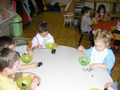 P1010074.JPG