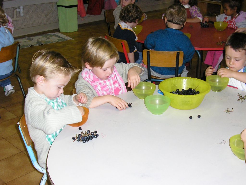 P1010076.JPG