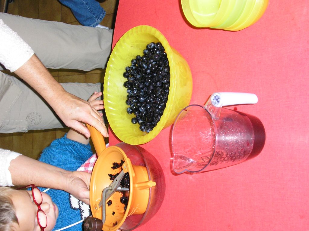 P1010088.JPG