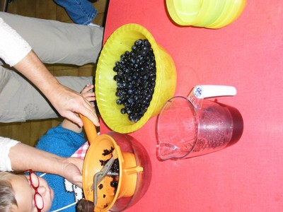 P1010088.JPG