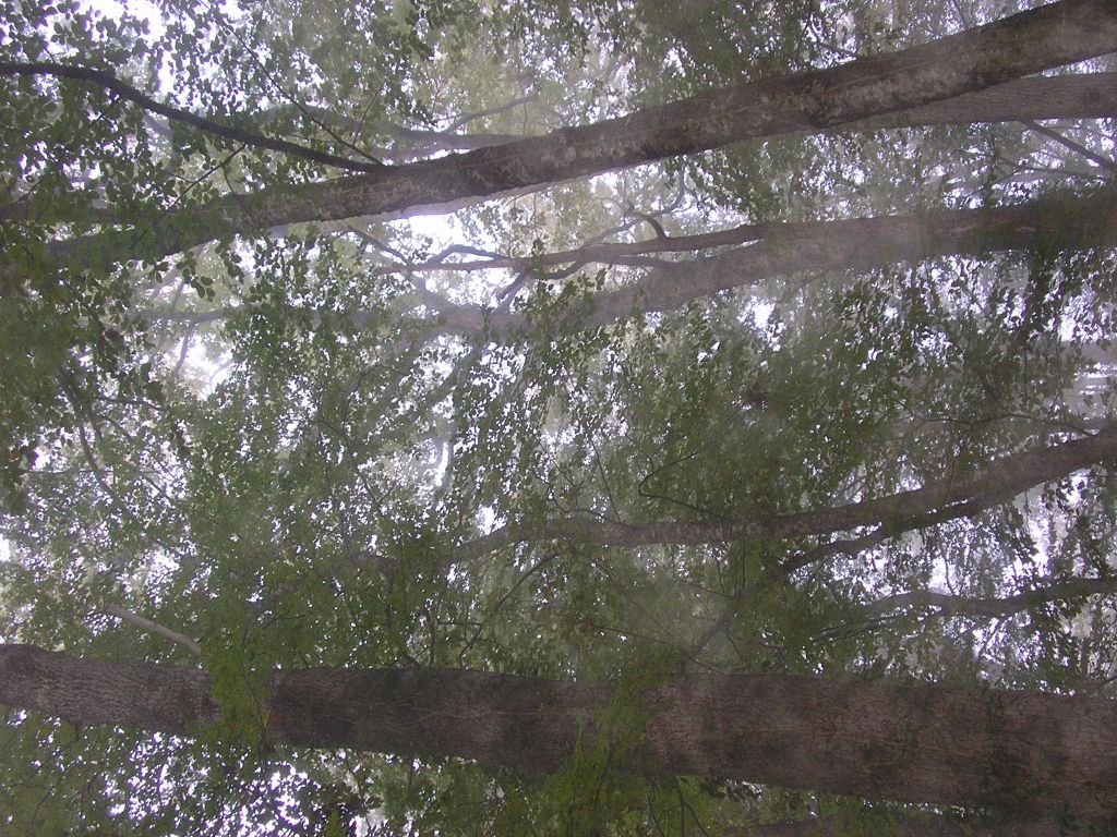 P1010172.JPG