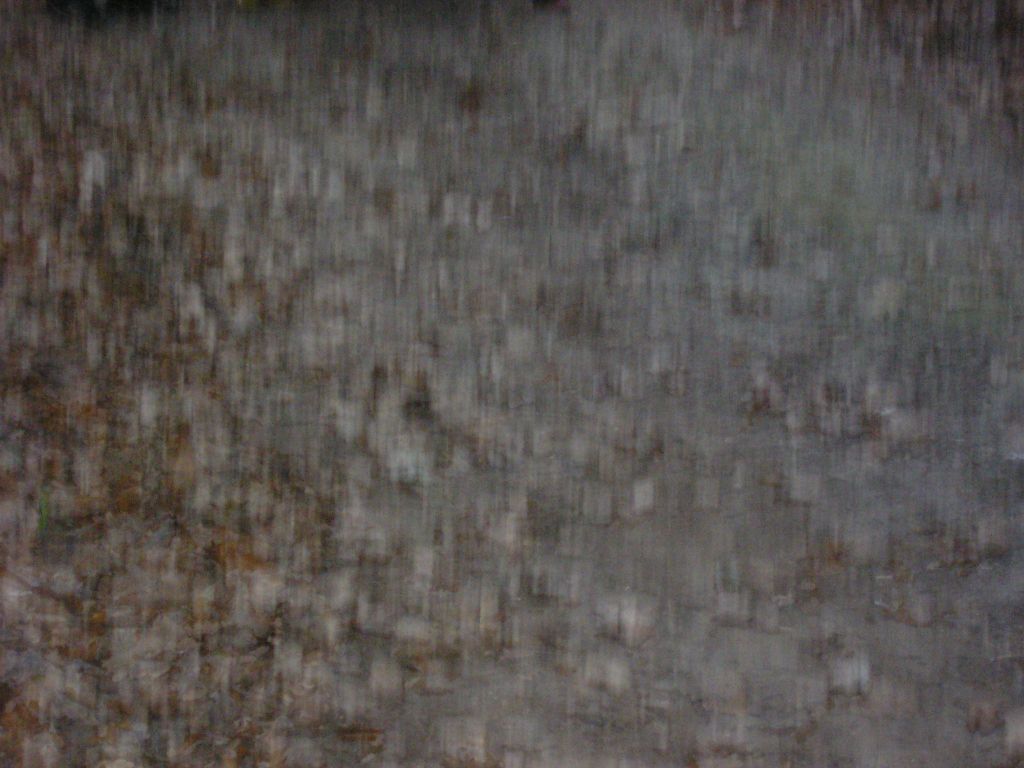 P1010186.JPG
