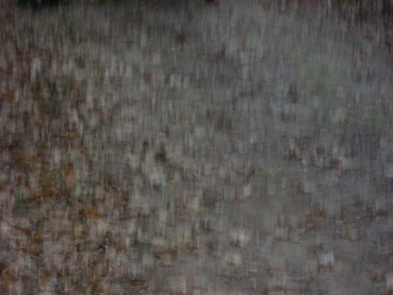 P1010186.JPG