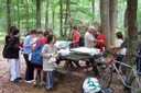 100_4929.JPG