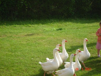 allemagne 2007 044.jpg