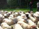 allemagne 2007 050.jpg