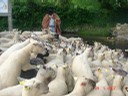 allemagne 2007 052.jpg