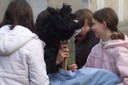 100_4067.JPG