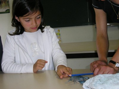 P1010056.JPG