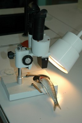 livrentete (113).JPG