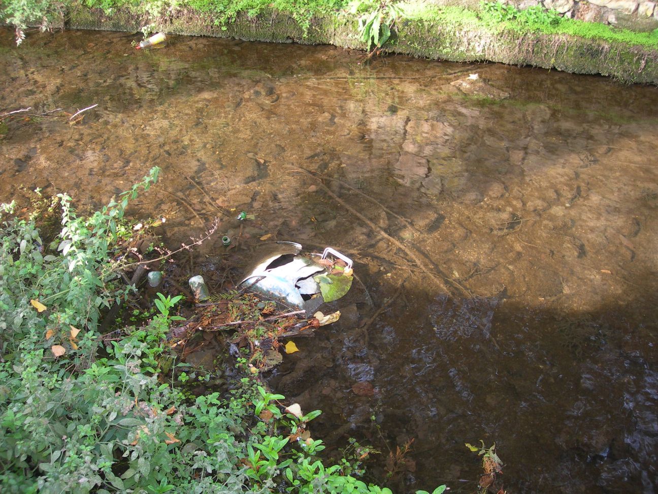 DSCN1055.JPG