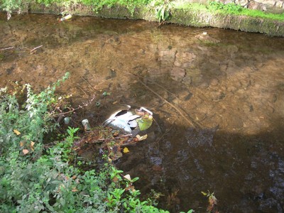DSCN1055.JPG