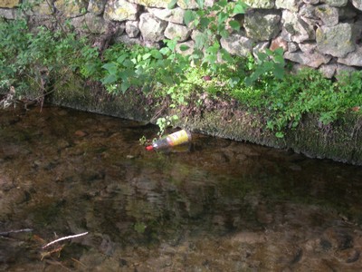 DSCN1057.JPG
