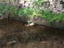 DSCN1057.JPG