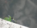 DSCN1059.JPG